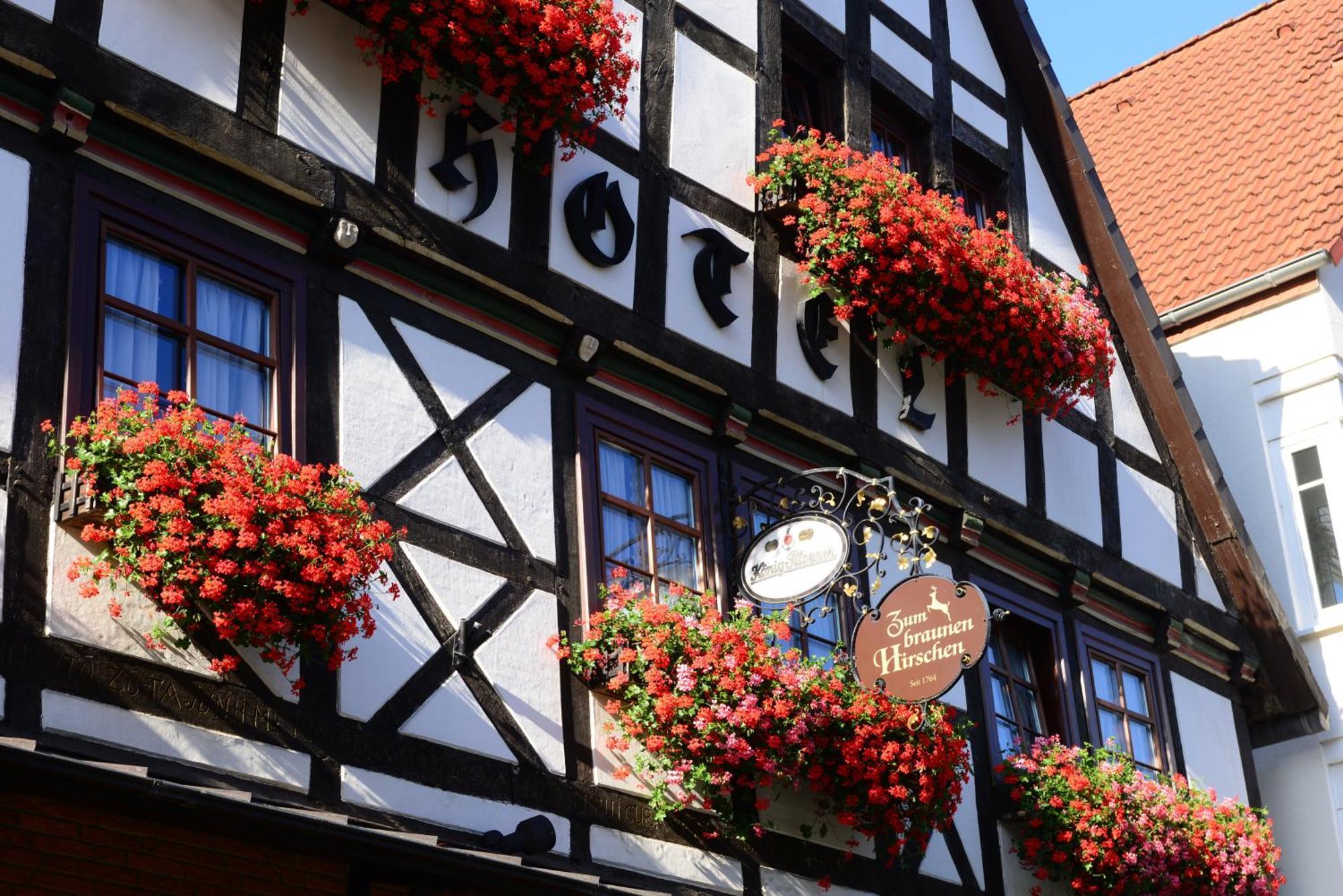 Hotel Zum Braunen Hirschen บัดดรีบวร์ก ภายนอก รูปภาพ